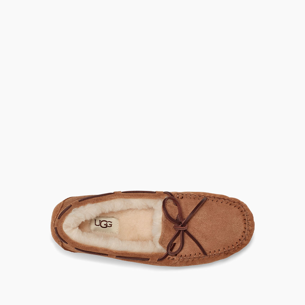 Ugg dakota online dames